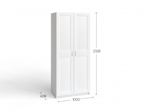 2.06.01.050.4 МАКС шкаф 2 двери 100х61х233 серый RU в Уфе - ufa.ok-mebel.com | фото 4