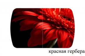 БОСТОН - 2 опоры Триумф в Уфе - ufa.ok-mebel.com | фото 50