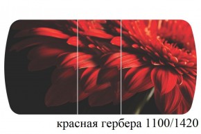 БОСТОН - 3 Стол раздвижной 1100/1420 опоры Триумф в Уфе - ufa.ok-mebel.com | фото 19