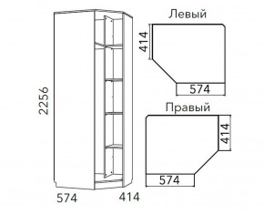 Детская Фанк Шкаф угловой Левый/Правый НМ 013.04-02 М в Уфе - ufa.ok-mebel.com | фото 3