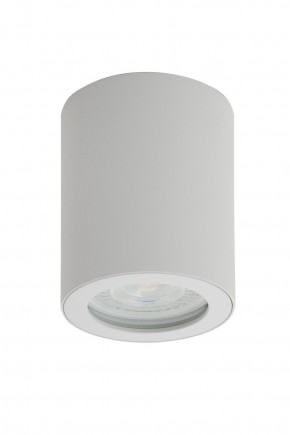 DK3007-WH Накладной светильник влагозащ., IP 44, 15 Вт, GU10, белый, алюминий в Уфе - ufa.ok-mebel.com | фото