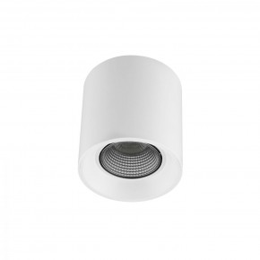 DK3090-WH+CH Светильник накладной IP 20, 10 Вт, GU5.3, LED, белый/хром, пластик в Уфе - ufa.ok-mebel.com | фото
