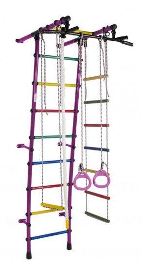 ДСК Стелла цв.фиолетовый радуга: турник, кольца, канат, трапеция, веревочная лестница в Уфе - ufa.ok-mebel.com | фото