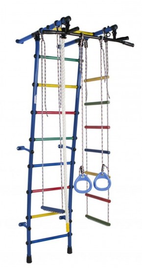 ДСК Стелла цв.синий радуга: турник, кольца, канат, трапеция, веревочная лестница в Уфе - ufa.ok-mebel.com | фото