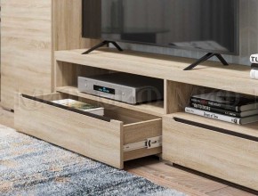 ЭКОЛЬ Гостиная Вариант №3 МДФ (Дуб сонома) в Уфе - ufa.ok-mebel.com | фото 2