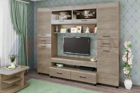 Гостиная Камелия Композиция 10 (Гикори Джексон светлый) в Уфе - ufa.ok-mebel.com | фото