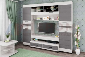 Гостиная Камелия Композиция 10 (Снежный ясень - серый) в Уфе - ufa.ok-mebel.com | фото