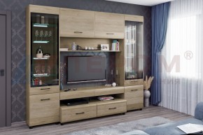 Гостиная Камелия Композиция 11 (Гикори Джексон светлый) в Уфе - ufa.ok-mebel.com | фото