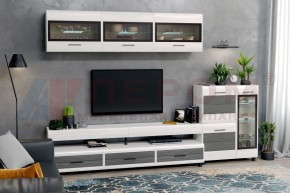 Гостиная Камелия Композиция 12 (Снежный ясень - серый) в Уфе - ufa.ok-mebel.com | фото