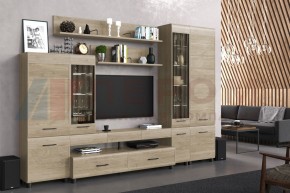 Гостиная Камелия Композиция 2 (Гикори Джексон светлый) в Уфе - ufa.ok-mebel.com | фото
