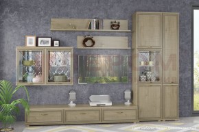 Гостиная Карина Композиция 1 (Гикори Джексон светлый) в Уфе - ufa.ok-mebel.com | фото