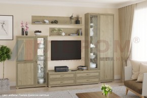 Гостиная Карина Композиция 12 (Гикори Джексон светлый) в Уфе - ufa.ok-mebel.com | фото