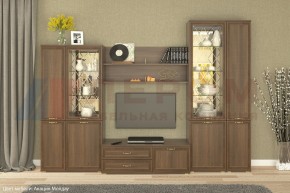 Гостиная Карина Композиция 24 (Акация Молдау) в Уфе - ufa.ok-mebel.com | фото