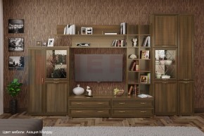 Гостиная Карина Композиция 5 (Акация Молдау) в Уфе - ufa.ok-mebel.com | фото