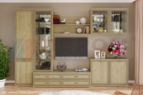 Гостиная Карина Композиция 8 (Гикори Джексон светлый) в Уфе - ufa.ok-mebel.com | фото 4
