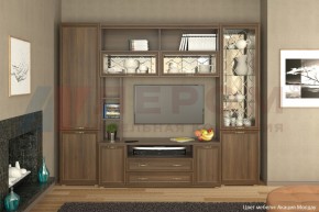 Гостиная Карина Композиция 9 (Акация Молдау) в Уфе - ufa.ok-mebel.com | фото