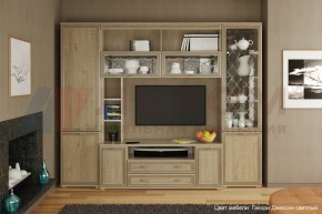 Гостиная Карина Композиция 9 (Гикори Джексон светлый) в Уфе - ufa.ok-mebel.com | фото