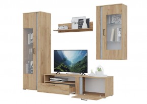 Гостиная Омега (Крафт золотой-Бетон) в Уфе - ufa.ok-mebel.com | фото 4