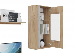 Гостиная Омега (Крафт золотой-Бетон) в Уфе - ufa.ok-mebel.com | фото 6