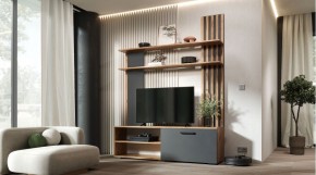 КАРОЛИНА Гостиная (дуб вотан/графит) в Уфе - ufa.ok-mebel.com | фото