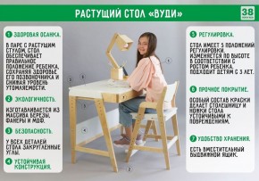 Комплект растущий стол и стул с чехлом 38 попугаев «Вуди» (Серый, Береза, Салют) в Уфе - ufa.ok-mebel.com | фото