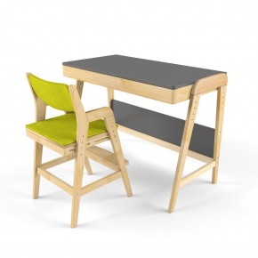 Комплект растущий стол и стул с чехлом 38 попугаев «Вуди» (Серый, Без покрытия, Грин) в Уфе - ufa.ok-mebel.com | фото