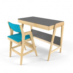Комплект растущий стол и стул с чехлом 38 попугаев «Вуди» (Серый, Без покрытия, Лазурь) в Уфе - ufa.ok-mebel.com | фото