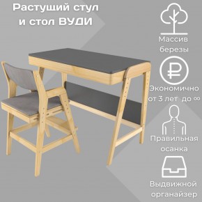 Комплект растущий стол и стул с чехлом 38 попугаев «Вуди» (Серый, Без покрытия, Серый) в Уфе - ufa.ok-mebel.com | фото