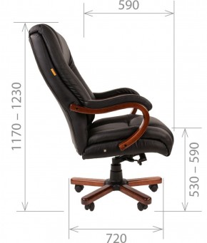 Кресло для руководителя CHAIRMAN  503 (Кожа) Черное в Уфе - ufa.ok-mebel.com | фото 5
