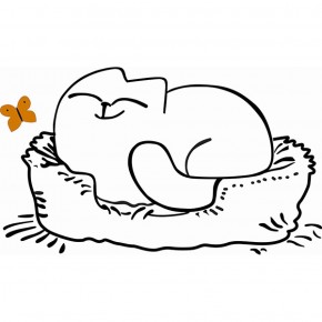 Кровать двухуровневая Кот № 900.1 ЛЕВАЯ (туя светлая/белый) в Уфе - ufa.ok-mebel.com | фото 2