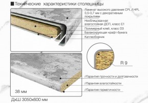 Кухонный фартук со столешницей (А-013) в едином стиле (3050 мм) в Уфе - ufa.ok-mebel.com | фото 6