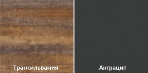 Кухонный гарнитур угловой Трансильвания 2400x1600 мм (Стол. 38 мм) Антрацит/Трансильвания в Уфе - ufa.ok-mebel.com | фото 3