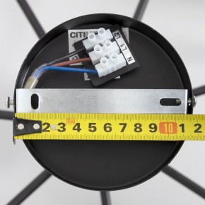 Люстра на штанге Citilux Стивен CL141271 в Уфе - ufa.ok-mebel.com | фото 13