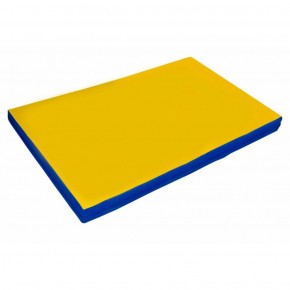 Мат гимнастический, прямоугольный. Длина 2 м, ширина 1 м, толщина 8 см синий-желтый   в Уфе - ufa.ok-mebel.com | фото