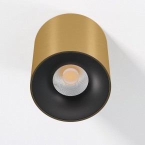 Накладной светильник Elektrostandard Primo 25116/LED в Уфе - ufa.ok-mebel.com | фото 2