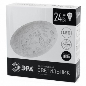 Накладной светильник Эра Классик SPB-6-24-4K (C) в Уфе - ufa.ok-mebel.com | фото 4