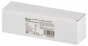 Накладной светильник Эра  TRM-S5-1-6W4K-WH в Уфе - ufa.ok-mebel.com | фото 6