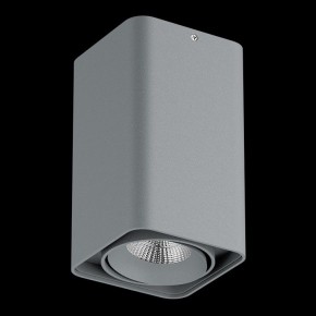 Накладной светильник Lightstar Monocco 052139-IP65 в Уфе - ufa.ok-mebel.com | фото 2