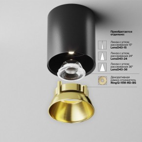 Накладной светильник Maytoni Alfa LED C064CL-12W4K-RD-B в Уфе - ufa.ok-mebel.com | фото 3