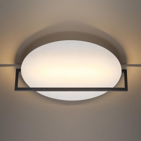 Накладной светильник Odeon Light Next 7015/20WL в Уфе - ufa.ok-mebel.com | фото 2