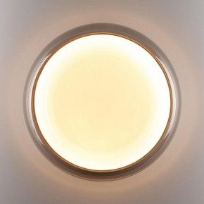 Накладной светильник Sonex PORTMAN 7777/DLN в Уфе - ufa.ok-mebel.com | фото 6