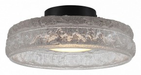 Накладной светильник ST-Luce ANTIKE SL6143.402.01 в Уфе - ufa.ok-mebel.com | фото 2