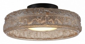 Накладной светильник ST-Luce ANTIKE SL6143.422.01 в Уфе - ufa.ok-mebel.com | фото 3