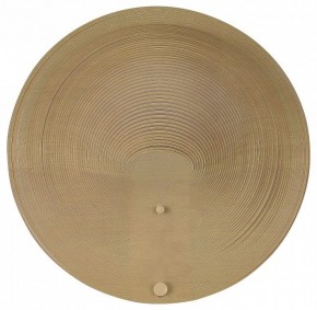 Накладной светильник ST-Luce Fossil SL6900.501.16 в Уфе - ufa.ok-mebel.com | фото