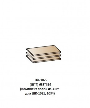 ПЛ-1025 (Комплект полок из 3 шт для ШК-1031, 1034) в Уфе - ufa.ok-mebel.com | фото