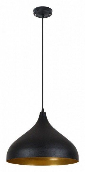 Подвесной светильник Arte Lamp Carmel A7076SP-1BK в Уфе - ufa.ok-mebel.com | фото 2