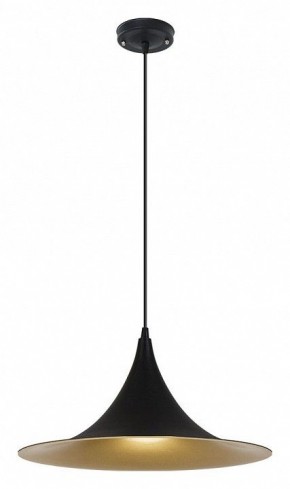 Подвесной светильник Arte Lamp Carmel A7080SP-1BK в Уфе - ufa.ok-mebel.com | фото 2