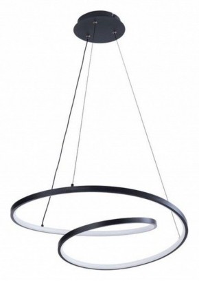 Подвесной светильник Arte Lamp Millo A3893SP-30BK в Уфе - ufa.ok-mebel.com | фото 2