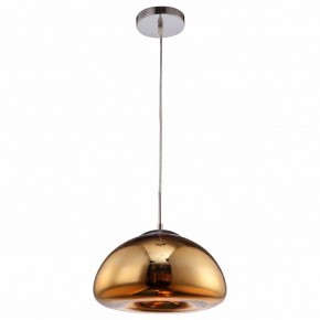 Подвесной светильник Arte Lamp Swift A8041SP-1GO в Уфе - ufa.ok-mebel.com | фото 2