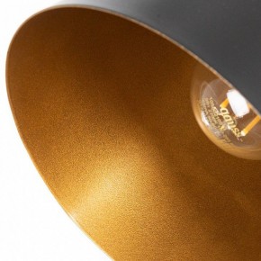 Подвесной светильник Arte Lamp Thomas A7032SP-1BK в Уфе - ufa.ok-mebel.com | фото 5